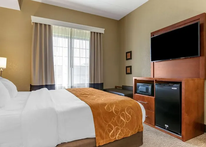 Comfort Suites Grand Rapids South