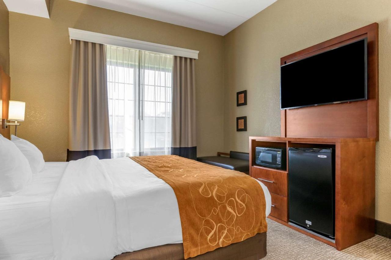 Hotel Comfort Grand Rapids South