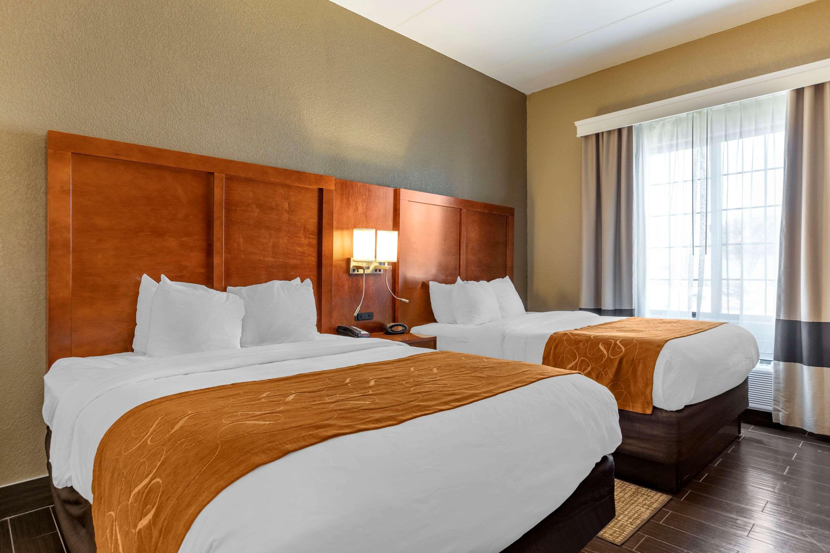 Hotel Comfort Grand Rapids South