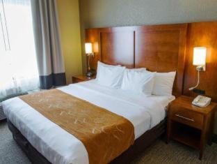 Hotel Comfort Grand Rapids South 3*