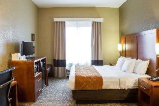 Hotel Comfort Grand Rapids South 3*